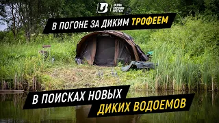 Рыбалка на карпа. В поисках новых диких водоемов. В погоне за диким трофеем.