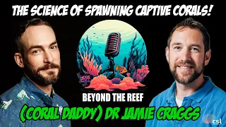 Captive Coral Spawning - Dr. Jamie Craggs