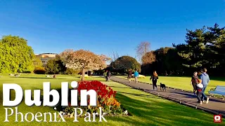 Phoenix Park Dublin, Ireland| 4K walking tour| Relaxing sounds of Nature