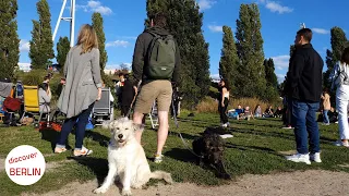 [4K] Berlin/Germany Walking Tour - Mauerpark Berlin (Wall Park) - Fleamarket, Music, Culture, Fun