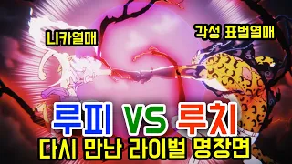 루피VS루치 두번째 각성 대결 다시만난 원피스 찐 라이벌 전투 명장면