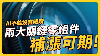 AI 不能沒有眼睛 兩大關鍵零組件可望落後補漲｜ #上流投資術 EP98 #財訊