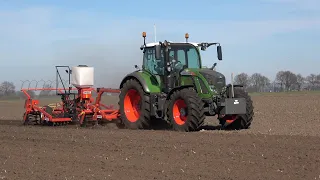 Land zaaiklaar maken voor gerst met Fendt 720 Vario Profi en Evers Haflinger cultivator (2021)