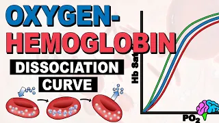 The Oxygen Hemoglobin Dissociation Curve EXPLAINED!