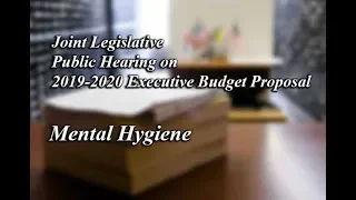 Joint Legislative Public Hearing on 2019-2020 Executive Budget Proposal: Mental Hygiene 02/07/19