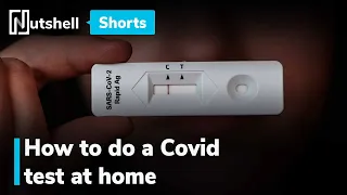 How to use a Covid rapid antigen test at home | #shorts | Nutshell