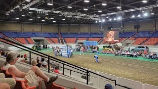 Bluegrass Horsepulling Association at the Kentucky State Fair Lightweights