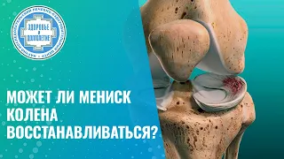 🤔  Может ли мениск коленного сустава восстанавливаться?