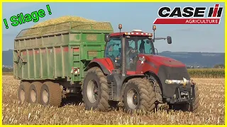 Siláže Kukuřice 2019 / Corn Silage / Kiszonka z kukurydzy / Maize / Mais | ZD Unčovice