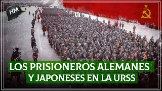 ¿Qué paso con los SOLDADOS alemanes y japoneses PRISIONEROS en la URSS?