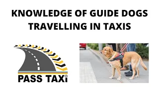 Different Types of Guide Dogs in Taxis | Video 11 | PASS TAXI