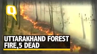 The Quint: Uttarakhand Forest Fire: 5 Dead, 1500 Villages Under Threat