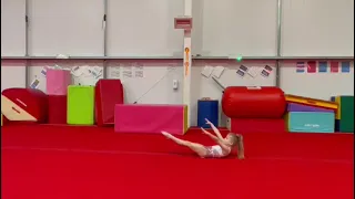 Level 9 Floor Routine 2023