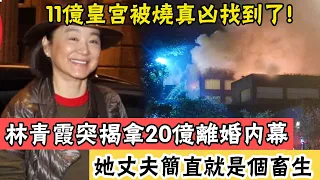 百億遺產全給私生子！林青霞突揭拿20億離婚內幕不簡單？ 11億“皇宮”被燒險喪命竟全是人為，張天愛怒曝實情讓人不敢相信#辣評娛圈