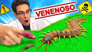 Encontré CIEMPIÉS GIGANTE VENENOSO y No Creerás Lo Que Pasó!!