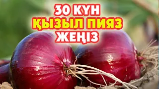 30 Күн бойы Қызыл Пияз жесеңіз қандай өзгеріс болады, Қызыл пияздың 7 пайдасы, қызыл пияз