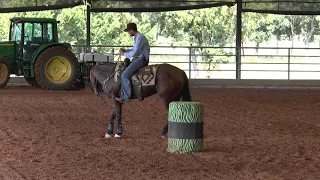 Brandon Cullins   Fix a Horse that Bows Off of the Barrel