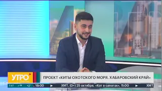 Проект «Киты охотского моря. Хабаровский край» Утро с Губернией 14/10/2020 GuberniaTV