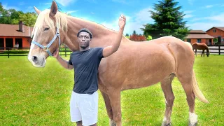 I Rode A Horse For The First Time