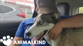 Dog whines with joy seeing owner after 3 years | Animalkind