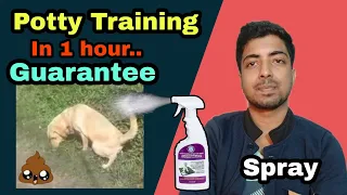 New technology - Potty training with spray in hindi 🔥🔥