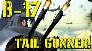 Tail Gunner - IN DEPTH! Most Effective Gunner?