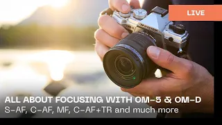 All about focusing with OM-5 & OM-D cameras