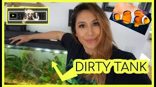 Easiest way to clean a fish tank monthly  |Without removing fish