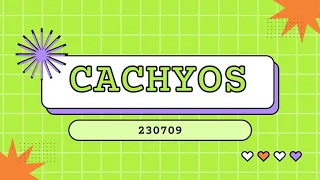 Discover The CachyOS, Everything You Need to Know & Highlights