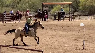 How to train a Shooting Horse Step 5