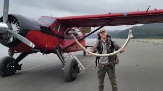 4 Days Solo Camping on Island Full of Whale Bones & Grizzly Bears