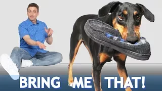 How to Teach your Dog to Bring You Things