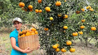 Aprenda passo a passo como cultivar essa fruta e produzir muito