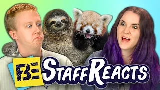 Try to Watch This Without Laughing or Grinning #4 (ft. FBE Staff)