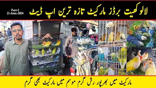 Lalukhet Sunday Birds Market 2024 Latest Update 21-April Part-2 | Lalukhet Birds Market Karachi