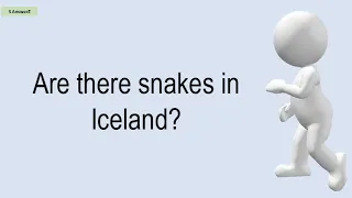 Are There Snakes In Iceland?