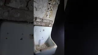 Exploring pool park mental asylum video 3