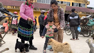 17 Year Old Single Mother -  build Bamboo Fence To Go The Market And Buy Puppies To Raise - ly tu ca
