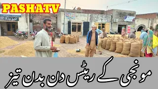 آج مونجی کے ریٹس غلہ منڈی علی پور چٹھہ 2022-11-09