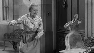 Why 'The Beverly Hillbillies' "Giant Jackrabbit" Episode Was One Of The Most Watched In History