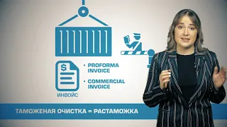 Термины в транспортной логистике. 2 часть. Дарьяна Петрусенко. Starshine Logistics School 0+