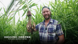 Ginger In The Market Garden | #2 Most Profitable Crop