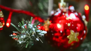 Snow covered, lighted Christmas tree on a winter day - [ stock video ]