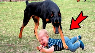 The mother left the child alone with the dog. When she returned, she was terrified!
