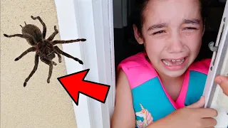 We found Huge TARANTULA in Our New House! *SCARY* | Jancy Family