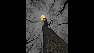 full moon Relaxing music