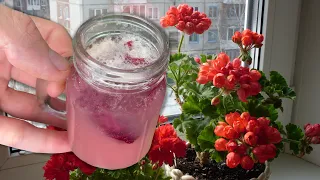 All Flowers Adore This Simple Top Dressing! Even The Frail Ones Bloom Like Crazy! A Proven Recipe.