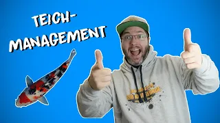 TEICHMANAGEMENT = GELD sparen ???