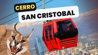 Visitamos el Zoológico Metropolitano |Funicular| Teleférico #santiago #santiagodechile #parquemet