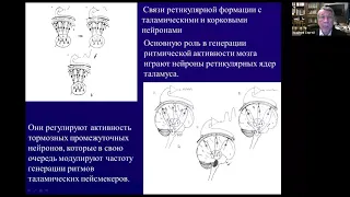 НЕЙРОФИЗИОЛОГИЧЕСКИЕ МЕХАНИЗМЫ НЕЙРОБИОУПРАВЛЕНИЯ